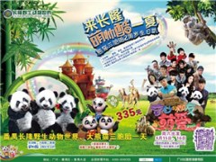 广州番禺长隆野生动物世界、大熊猫三胞胎、动物园一天